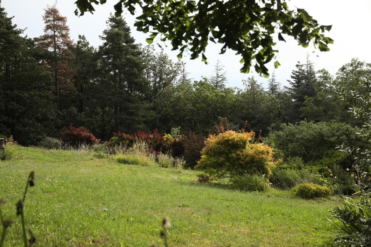 Saint-Romain-de-Lerps Villa Rouvesol מראה חיצוני תמונה